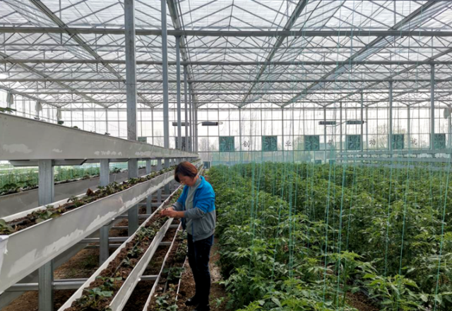 喜获荣誉！乡村振兴路上阴平再出发