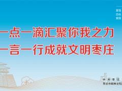 【公益广告】一点一滴汇聚你我智力 一言一行成就文明枣庄