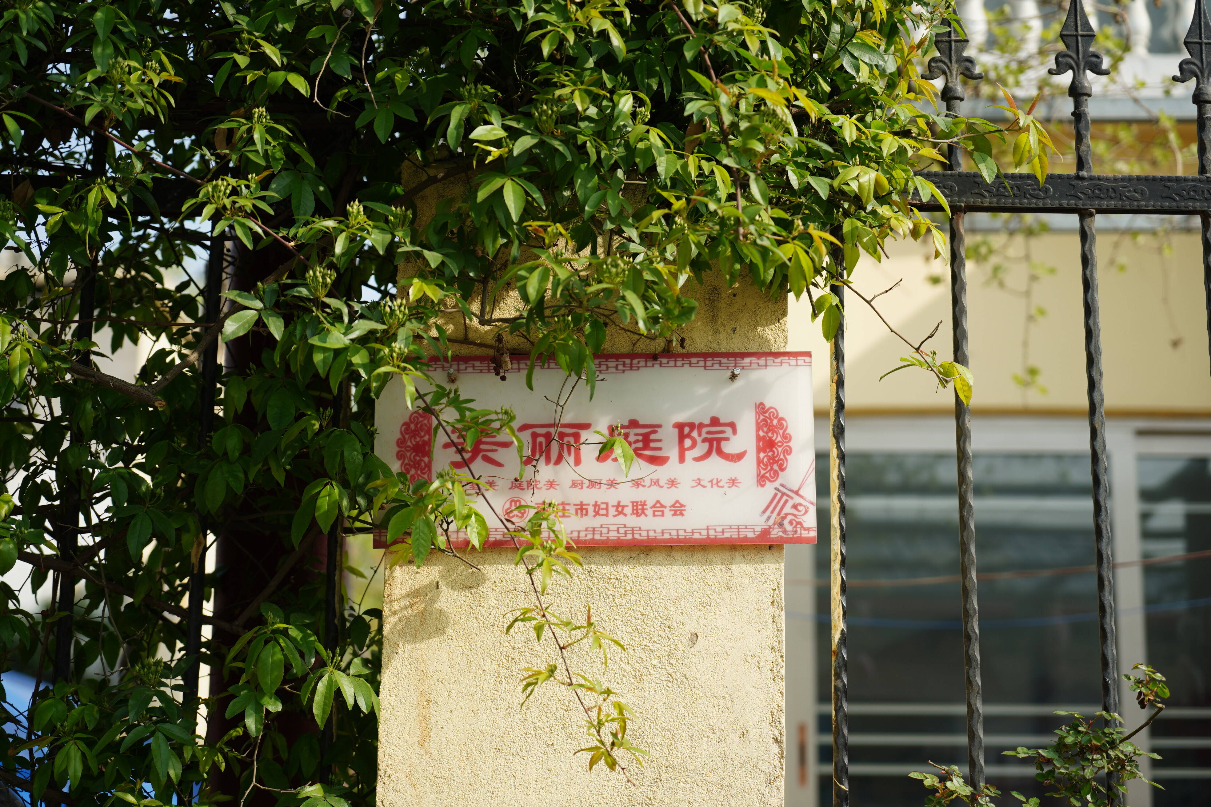 枣庄峄城峨山镇美丽庭院为乡村振兴“锦上添花”