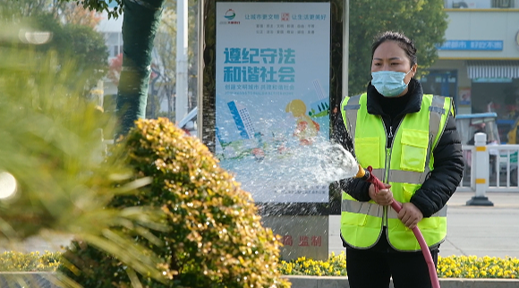 枣庄：冬季花卉“上线” 扮靓城区街头